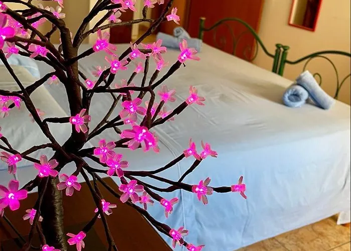 Alojamento de Acomodação e Pequeno-almoço Arche